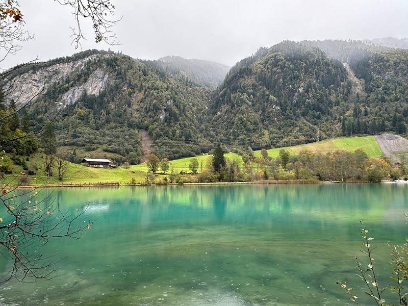 128_Austria_Pinzgau.JPG
