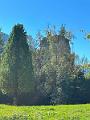 046_Austria_Pinzgau