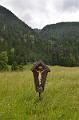 099_Austria_Pitztal