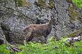 112_Austria_Pitztal