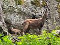 113_Austria_Pitztal