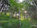 043_Austria_Saalfelden