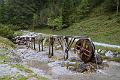 172_Austria_Stubai_Schick_2000_Naturlehrweg