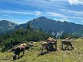 030_Austria_Tannheimer_Tal