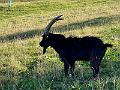 089_Austria_Salzburger_Land
