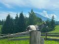 062_Austria_Wilder_Kaiser