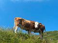 084_Austria_Wilder_Kaiser_Kitzbueheler_Horn