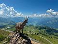 091_Austria_Wilder_Kaiser_Kitzbueheler_Horn