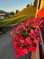 171_Austria_Wilder_Kaiser_Kaiserblick