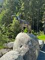 076_Austria_Zillertal_Krimmler_Waterfalls