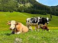 111_Austria_Zillertal