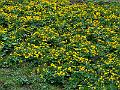 128_Austria_Zillertal