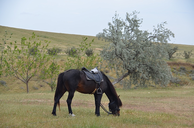 315_Azerbaijan_Yanar_Dag.JPG