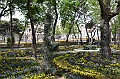 051_Azerbaijan_Baku