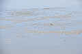 272_Azerbaijan_Qobustan_Mud_Volcanoes