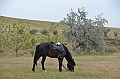 315_Azerbaijan_Yanar_Dag