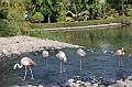 18_The_Ritz_Carlton_Bahrain