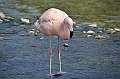 19_The_Ritz_Carlton_Bahrain