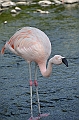 38_The_Ritz_Carlton_Bahrain
