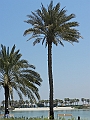 75_The_Ritz_Carlton_Bahrain