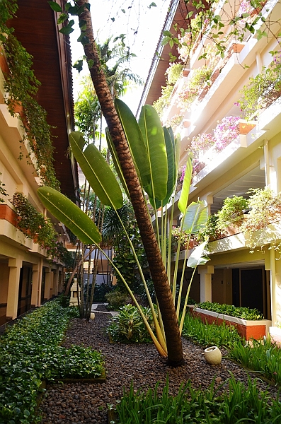 023_Bali_The_Westin_Resort_Nusa_Dua.JPG