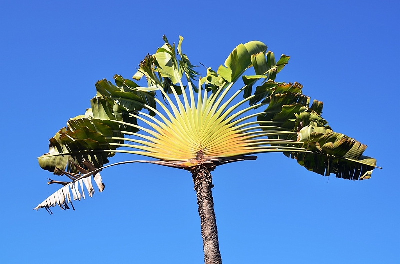 057_Bali_The_Westin_Resort_Nusa_Dua.JPG