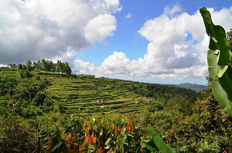 074_Bali.JPG