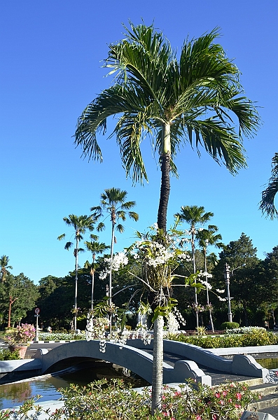 182_Bali_Nusa_Dua.JPG