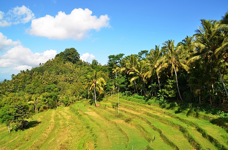 272_Bali.JPG