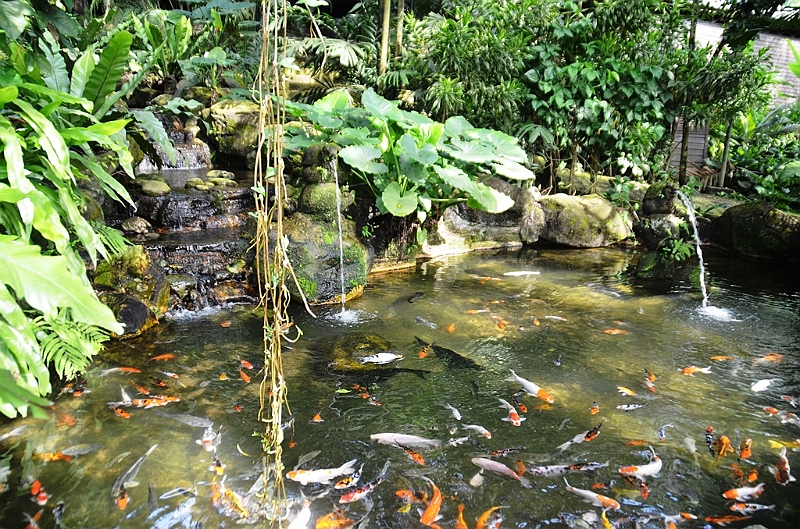 454_Kuala_Lumpur_Bird_Park.JPG