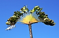 057_Bali_The_Westin_Resort_Nusa_Dua