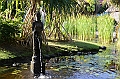 060_Bali_The_Westin_Resort_Nusa_Dua