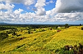 108_Bali_Jatiluwih_Ricefields