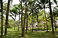 241_Bali_The_Ubud_Village_Resort