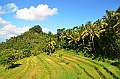 272_Bali