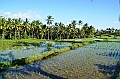 346_Bali