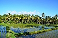 348_Bali