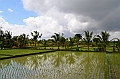 352_Bali