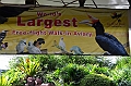 448­_Kuala_Lumpur_Bird_Park