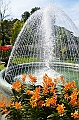 476_Kuala_Lumpur_Orchid_Garden