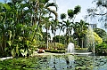484_Kuala_Lumpur_Orchid_Garden