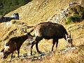 2012_Schoettelkarspitze_20_10_2012_Photo08