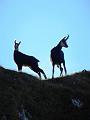 2012_Schoettelkarspitze_20_10_2012_Photo21