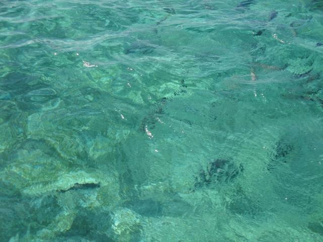 351_Belize_Reef.JPG