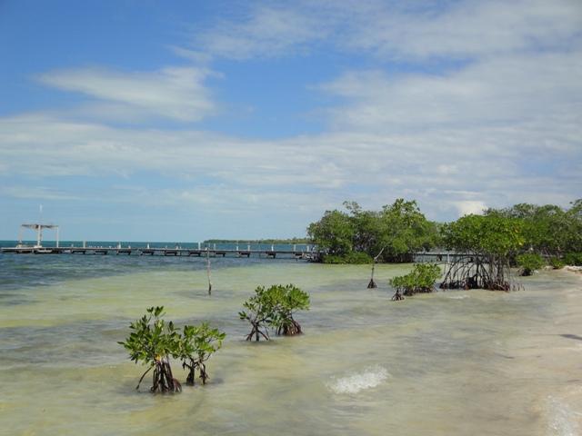 357_Belize_Caye_Caulker.JPG