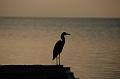 319_Belize_Caye_Caulker