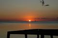 345_Belize_Caye_Caulker