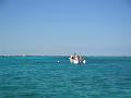349_Belize_Reef