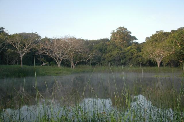 248_Guatemala_Tikal.JPG