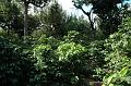 232_Guatemala_Antigua_R_Dalton_Coffee